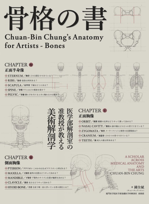 ☠️ガイコツ　医学教本　人体の骨格 ☠️ガイコツ 医学教本 人体の骨格 骨格の書-医学部解剖室の准教授